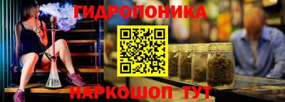 молекула духа Краснодар