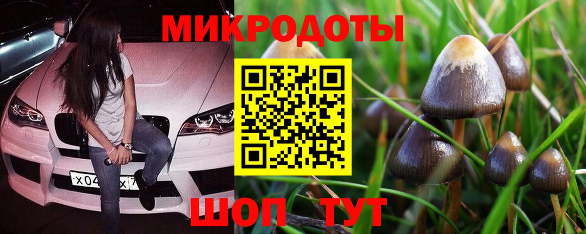 Галлюциногенные грибы мицелий  Вход с VPN  Звенигород 