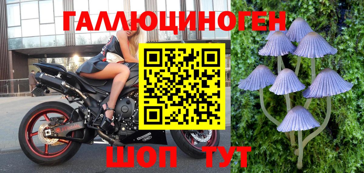 Галлюциногенные грибы ЛСД Звенигород